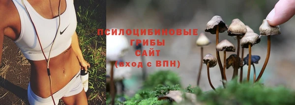 ешки Бронницы