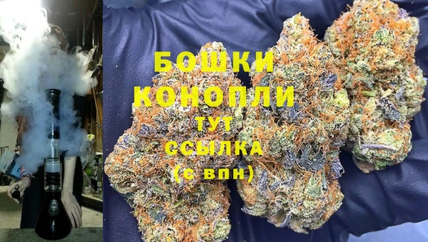 ешки Бронницы
