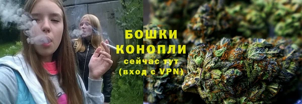 гашик Бородино