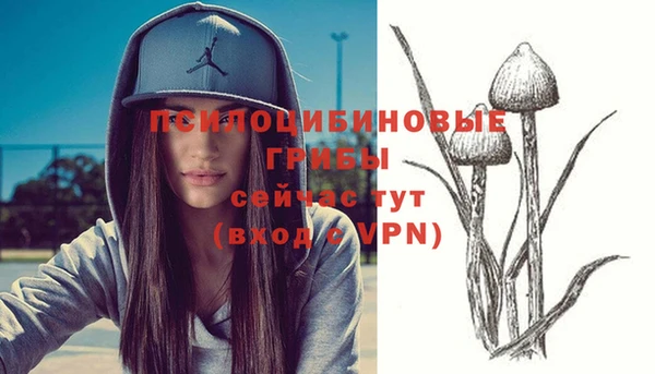 гашик Бородино