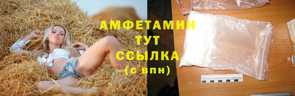 гашик Бородино