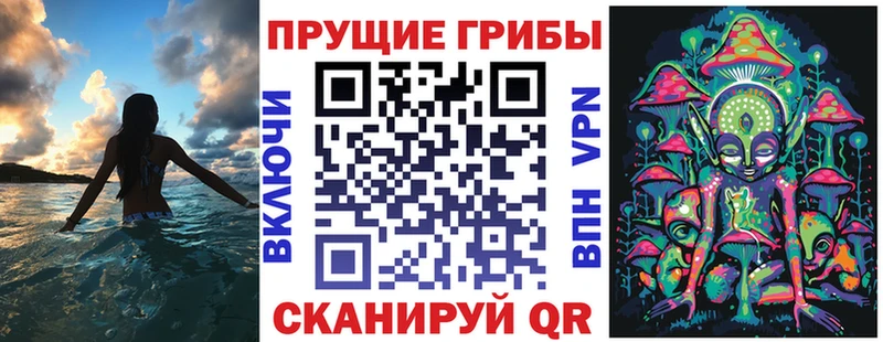 дарк нет наркотические препараты  Набережные Челны  Галлюциногенные грибы Magic Shrooms 